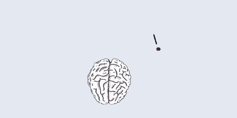 cervell